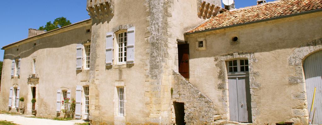 Chateau De La Combe Puyrenier Zewnętrze zdjęcie